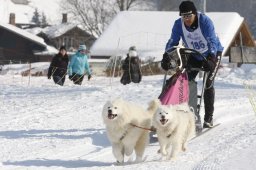 Lenk 2012 SM
